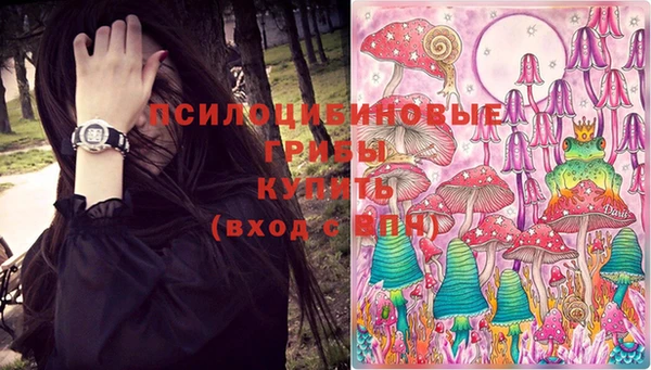 эйфоретик Армянск