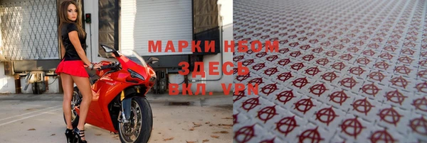 стафф Аркадак