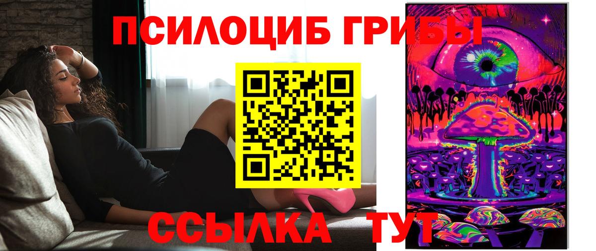 Псилоцибиновые грибы GOLDEN TEACHER Баксан