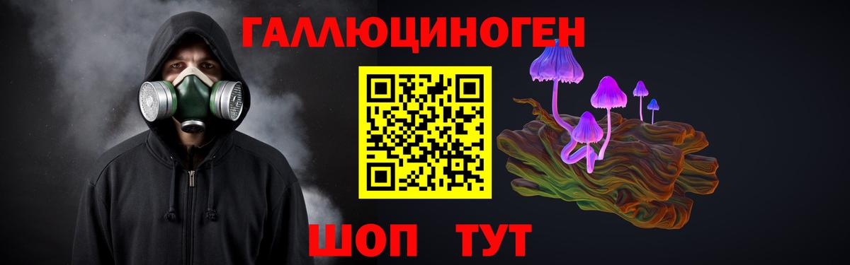 Баксан  Псилоцибиновые грибы мухоморы  Вход с VPN 