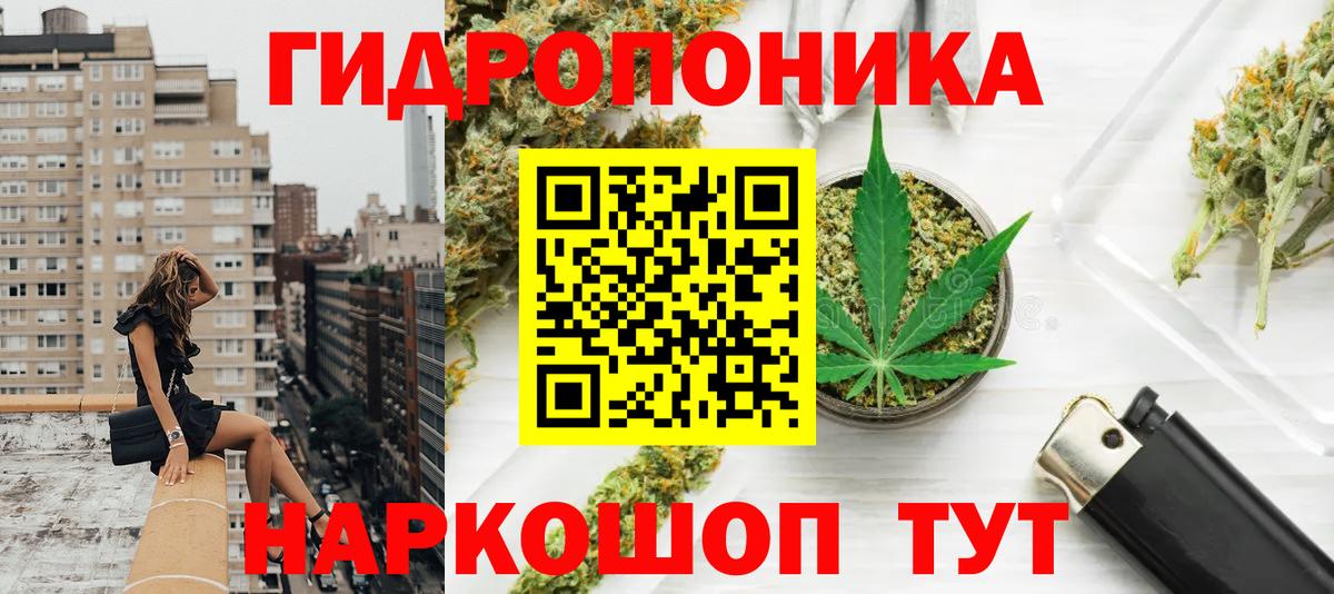 Конопля SATIVA & INDICA Баксан